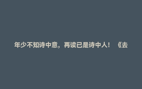 年少不知诗中意，再读已是诗中人！ 《去唐朝：诗人和人间世》