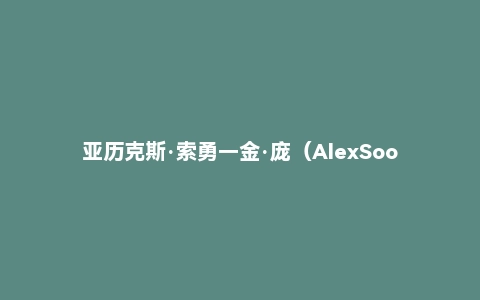 亚历克斯·索勇－金·庞（AlexSoojung-KimPang）《科学休息：迅速恢复精力的高效休息法》译者：赵富强
