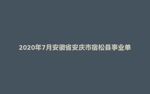 2020年7月安徽省安庆市宿松县事业单位考试《公共基础知识》（主观题）
