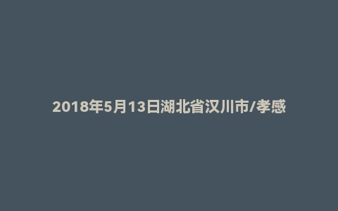 2018年5月13日湖北省汉川市/孝感市云梦县事业单位考试《基本素质和通用能力测试》试题