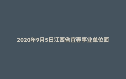 2020年9月5日江西省宜春事业单位面试题