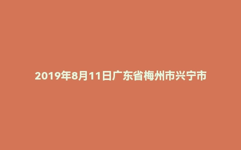 2019年8月11日广东省梅州市兴宁市事业单位招聘考试《公共基础知识》（综合类）试题