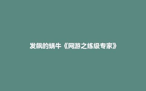 发飙的蜗牛《网游之练级专家》