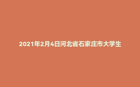 2021年2月4日河北省石家庄市大学生社区工作者招聘考试《综合能力测试》（主观题）
