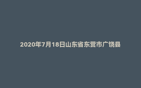 2020年7月18日山东省东营市广饶县人才引进面试题