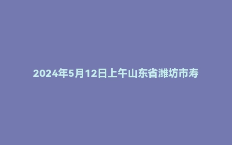2024年5月12日上午山东省潍坊市寿光市事业单位面试题(4+4)