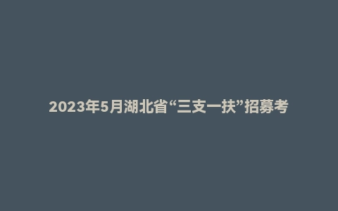 2023年5月湖北省“三支一扶”招募考试《综合能力测试》（主观题）