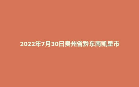2022年7月30日贵州省黔东南凯里市事业单位招聘考试精选题