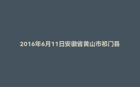 2016年6月11日安徽省黄山市祁门县事业单位农商行面试真题