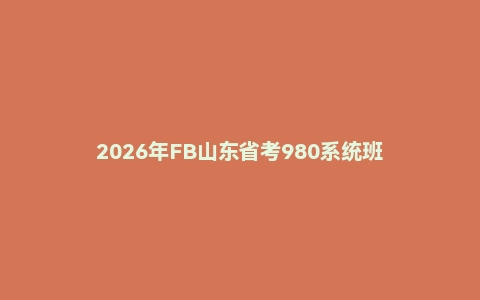 2026年FB山东省考980系统班