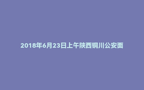 2018年6月23日上午陕西铜川公安面试真题