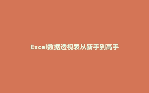 Excel数据透视表从新手到高手
