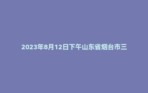 2023年8月12日下午山东省烟台市三支一扶面试题