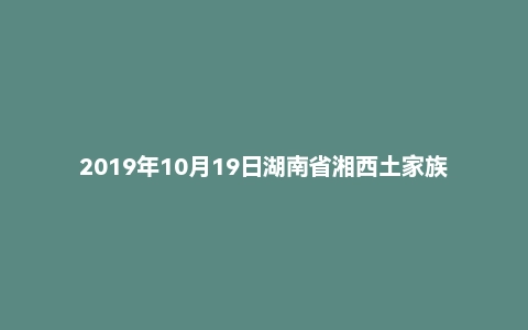 2019年10月19日湖南省湘西土家族苗族自治州龙山县事业单位考试《职业能力倾向测试》精选题