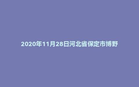 2020年11月28日河北省保定市博野县公开招聘辅助岗位人员考试《公共基础知识》试题