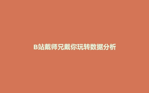 B站戴师兄戴你玩转数据分析