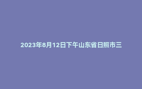 2023年8月12日下午山东省日照市三支一扶面试题