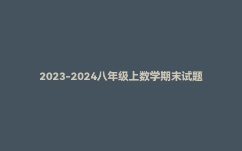 2023-2024八年级上数学期末试题12套