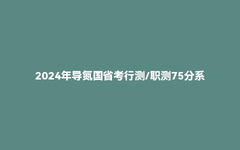 2024年导氮国省考行测/职测75分系统课