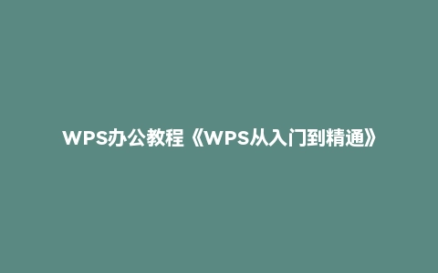 WPS办公教程《WPS从入门到精通》