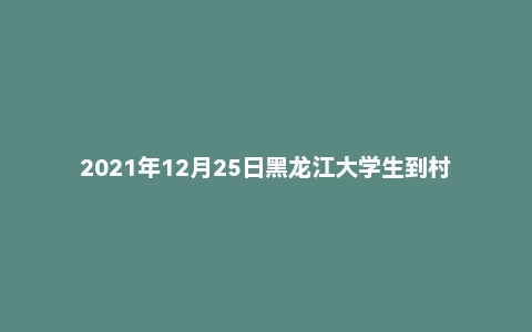 2021年12月25日黑龙江大学生到村任职面试真题（齐齐哈尔市）