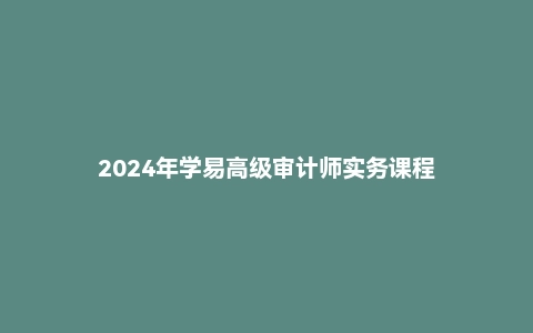 2024年学易高级审计师实务课程