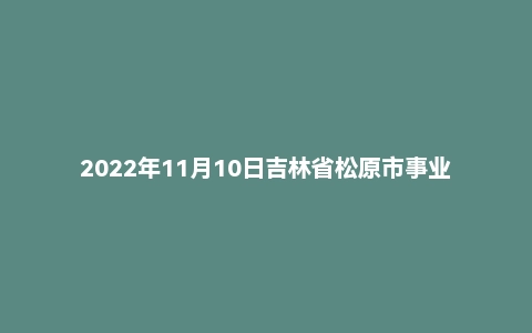 2022年11月10日吉林省松原市事业单位面试题(基层治理专干)