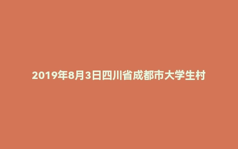 2019年8月3日四川省成都市大学生村官面试真题