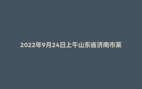 2022年9月24日上午山东省济南市莱芜区/天桥区事业单位面试题（部分区直）