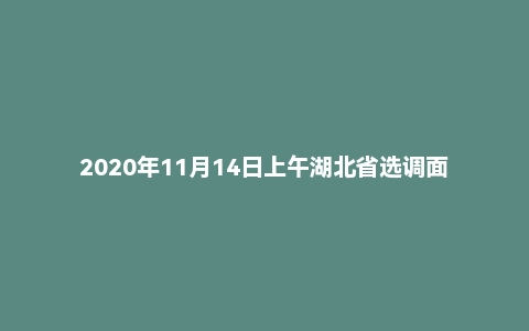 2020年11月14日上午湖北省选调面试题