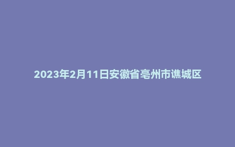 2023年2月11日安徽省亳州市谯城区事业单位面试题