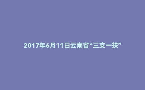 2017年6月11日云南省“三支一扶”考试《公共基础知识》试题
