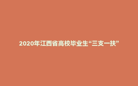 2020年江西省高校毕业生“三支一扶”考试《行政职业能力和农村工作能力测验》（主观题）