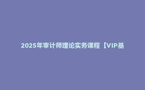 2025年审计师理论实务课程【VIP基础同步班】