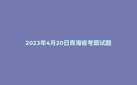 2023年4月20日青海省考面试题