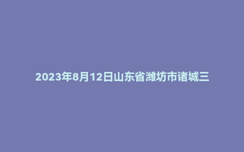2023年8月12日山东省潍坊市诸城三支一扶面试题