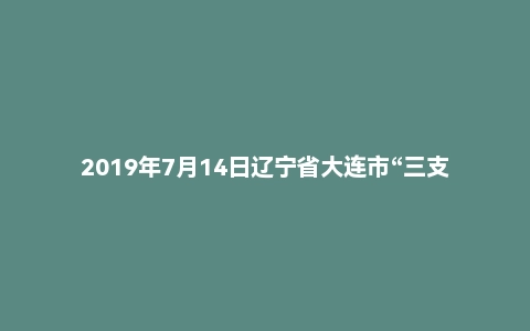 2019年7月14日辽宁省大连市“三支一扶”考试精选题