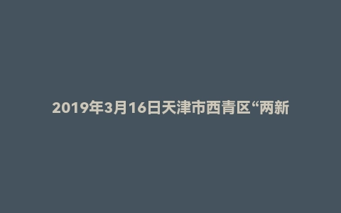2019年3月16日天津市西青区“两新”组织专职党务工作者《综合能力测试》精选题