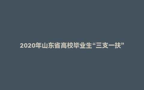 2020年山东省高校毕业生“三支一扶”招募考试《公共基础知识》(主观题)