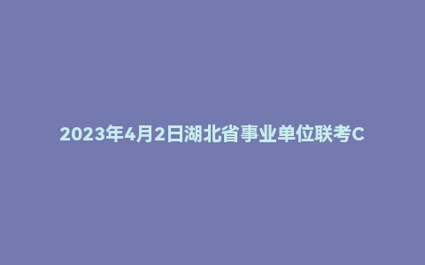 2023年4月2日湖北省事业单位联考C类《职业能力倾向测验》题