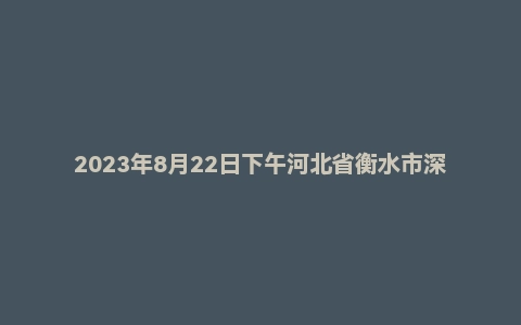 2023年8月22日下午河北省衡水市深州县事业单位面试题