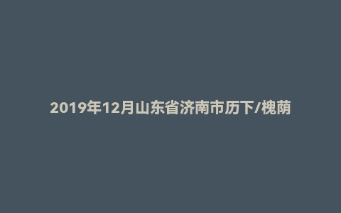 2019年12月山东省济南市历下/槐荫区事业单位考试精选题