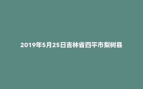 2019年5月25日吉林省四平市梨树县林业局等十七个部门招聘政府购买服务人员笔试题