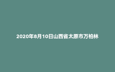 2020年8月10日山西省太原市万柏林区事业单位考试题（上午场）