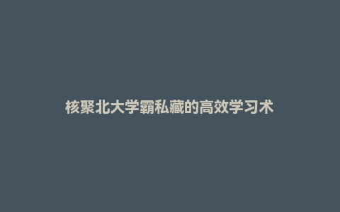 核聚北大学霸私藏的高效学习术