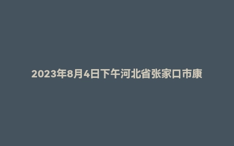 2023年8月4日下午河北省张家口市康保县事业单位面试(综合岗)