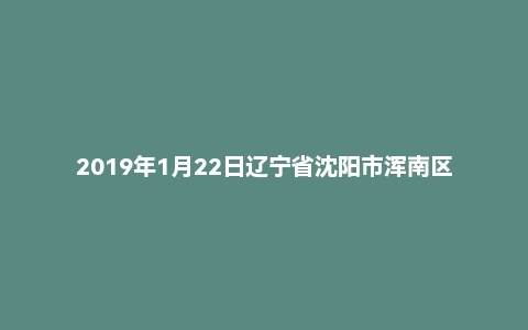 2019年1月22日辽宁省沈阳市浑南区招聘派遣制人员《行政职业能力测验》精选题