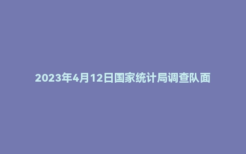 2023年4月12日国家统计局调查队面试题