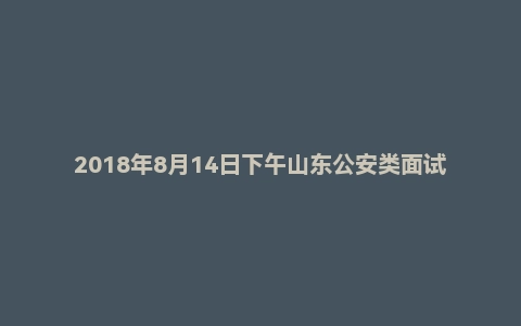 2018年8月14日下午山东公安类面试真题